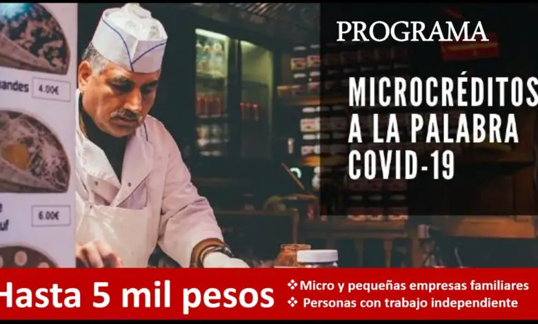 ▷ Programa microcrédito a la palabra -Hasta 5 mil pesos » 2020 El Derecho Online 🥇 Microcrédito a la palabra de hasta 5 mil pesos para micro y pequeñas empresas familiares o personas con trabajo independiente