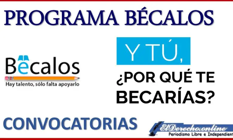 ▷ Convocatoria de Apoyo Bécalos "Y tú, ¿por qué te becarías? » 2021 El Derecho Online 🥇 Convocatoria de Apoyo Bécalos "Y tú, ¿por qué te becarías?