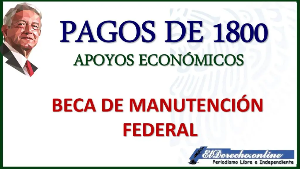 ▷ Resultados- Beca Federal Apoyo a la Manutención 2021-2022: Requisitos » 2021 El Derecho Online 🥇 pagos beca de manutención federal