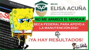 ▷ Resultados- Beca Federal Apoyo a la Manutención 2021-2022: Requisitos » 2021 El Derecho Online 🥇 beca de manutención federal 2021 resultados