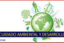 Equilibrio entre Cuidado Ambiental y Desarrollo