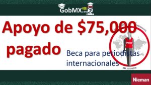 ▷ Noticias Jurídicas » 2020 El Derecho Online 🥇 Beca para periodistas internacionales