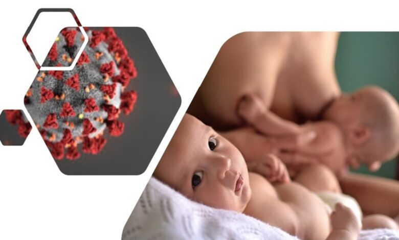▷ Humanos Neonatales y Coronavirus » 2021 El Derecho Online 🥇 humanos-neonatales-y-coronavirus