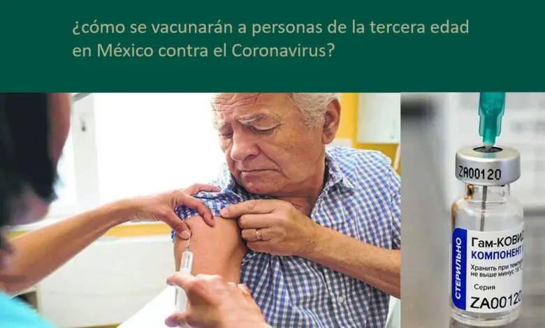 ▷ ¿cómo se vacunarán a personas de la tercera edad en México contra el Coronavirus? » 2022 El Derecho Online 🥇 como-se-vacunaran-a-personas-de-la-tercera-edad-en-mexico-contra-el-coronavirus
