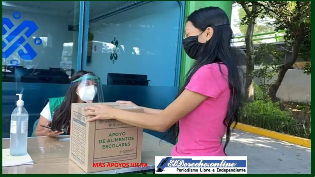 ▷ 7 Apoyos económicos surgidos para ayudar a paliar la Pandemia Covid-19 2021-2022 » 2021 El Derecho Online 🥇 Apoyo Alimentario Emergente