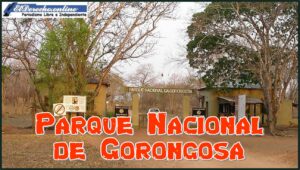Parque Nacional de Gorongosa