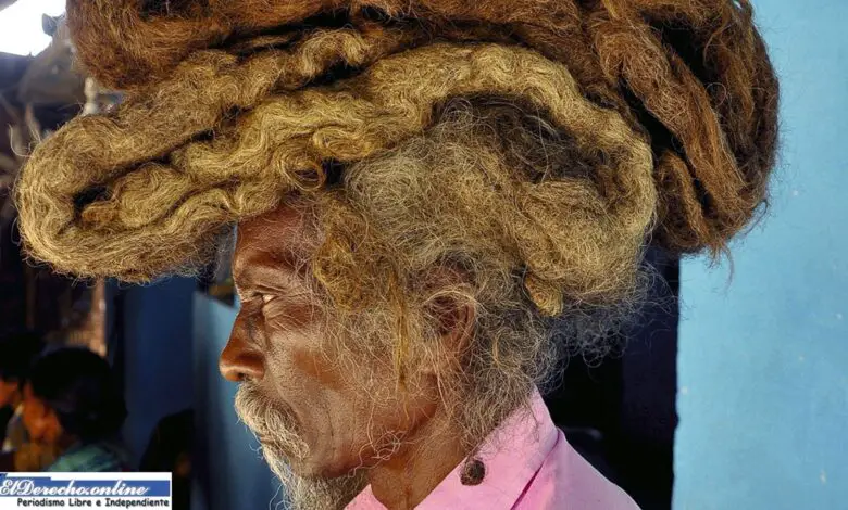 ▷ ¿Qué significa soñar con el pelo? » 2021 El Derecho Online 🥇 que-significa-sonar-con-el-pelo