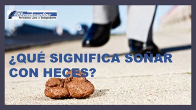 que-significa-sonar-con-heces