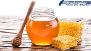 ▷ ¿Qué significa soñar con miel? » 2023 El Derecho Online 🥇 que-significa-sonar-con-miel