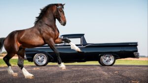 ▷ ¿Qué significa soñar con un caballo? » 2023 El Derecho Online 🥇 que-significa-sonar-con-un-caballo