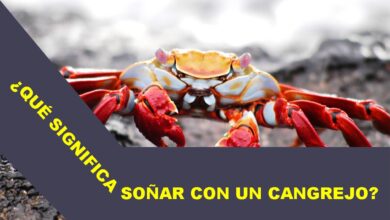 que-significa-sonar-con-un-cangrejo