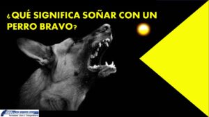 ▷ ¿Qué significa soñar con un perro bravo? » 2023 El Derecho Online 🥇 que-significa-sonar-con-un-perro-bravo