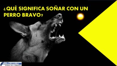 que-significa-sonar-con-un-perro-bravo