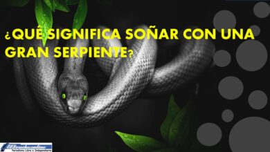 que-significa-sonar-con-una-gran-serpiente