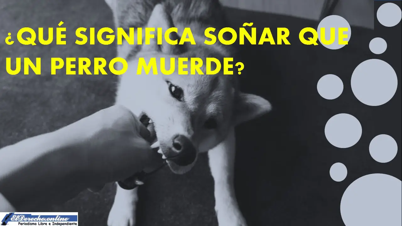 ▷ ¿Qué Significa Soñar Un Perro Muerde? El Derecho Online