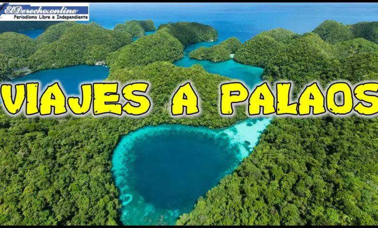 ▷ Viajes a Palaos » 2021 El Derecho Online 🥇 Viajes a Palaos