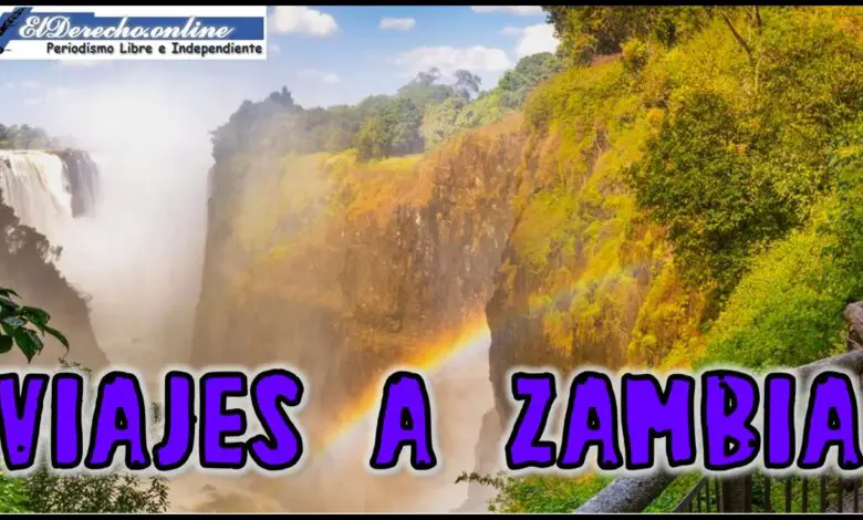 ▷ Viajes a Zambia » 2021 El Derecho Online 🥇 Viajes a Zambia