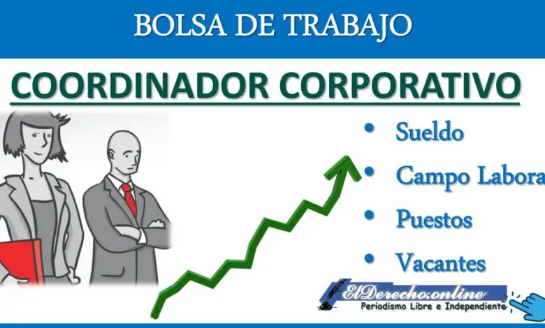 ▷ ¿Qué es un Coordinador corporativo? Campo Laboral y Bolsa de Trabajo 2021-2022 » 2021 El Derecho Online 🥇 ¿Qué es un Coordinador corporativo? Campo Laboral y Bolsa de Trabajo