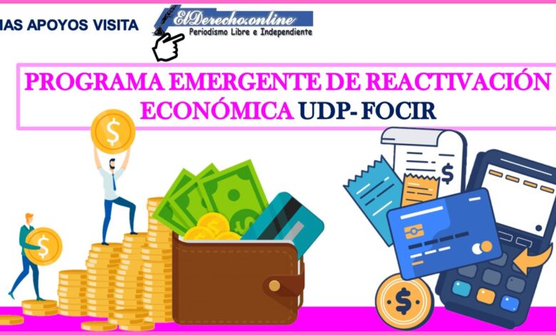 ▷ Programa Emergente de Reactivación Económica UDP- FOCIR » 2021 El Derecho Online 🥇 Programa Emergente de Reactivación Económica UDP- FOCIR