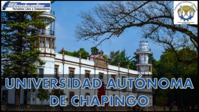 Universidad Autónoma de Chapingo