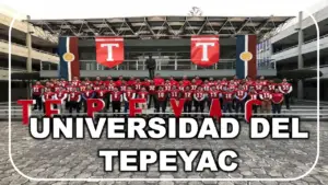 ▷ Universidad del Tepeyac » 2023 El Derecho Online 🥇 UNIVERSIDAD DEL TEPEYAC