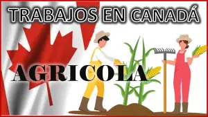 Trabajo en Canadá agrícola 2023 - 2024