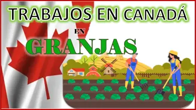 Trabajo en Granjas Canadá 2023 - 2024