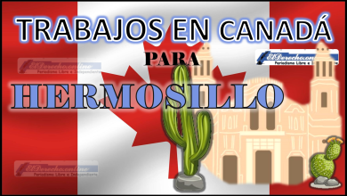 Trabajos en Canadá Hermosillo 2023 - 2024