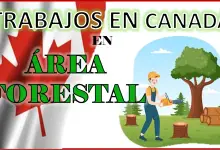 Trabajo en Canadá área Forestal 2023 - 2024