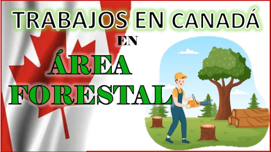 Trabajo en Canadá área Forestal 2023 - 2024