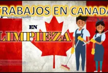 Trabajos de limpieza en Canadá 2023 - 2024