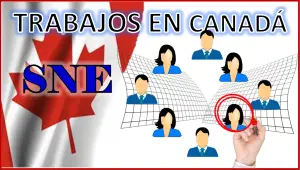Trabajos en Canadá SNE 2023 - 2024