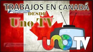 Trabajo en Uno TV Canadá 2023 - 2024