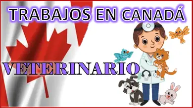 Trabajo en Canadá Veterinario 2023 - 2024