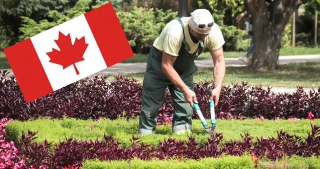trabajo-en-canada-jardinero-1