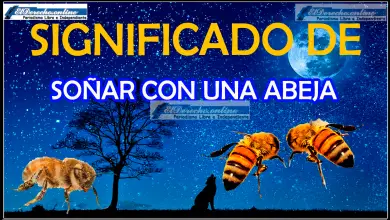 Soñar con una abeja ¿Qué significa?