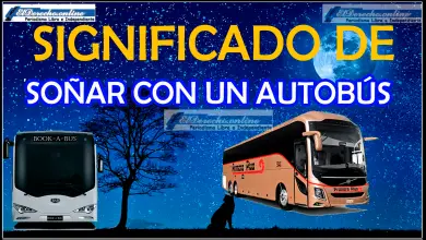 ¿Qué significa soñar con un autobús?