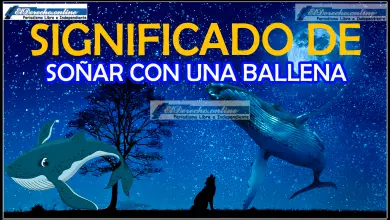 ¿Qué significa soñar con una ballena?