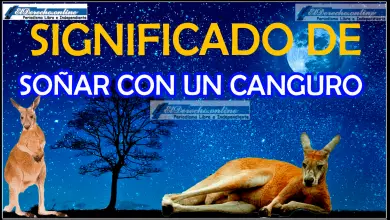 ¿Qué significa soñar con un canguro?