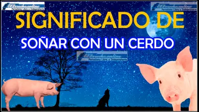 ¿Qué significa soñar con un cerdo?