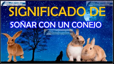 ¿Qué significa soñar con un conejo?