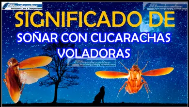 Soñar con Cucarachas Voladoras ¿Qué significa este sueño?