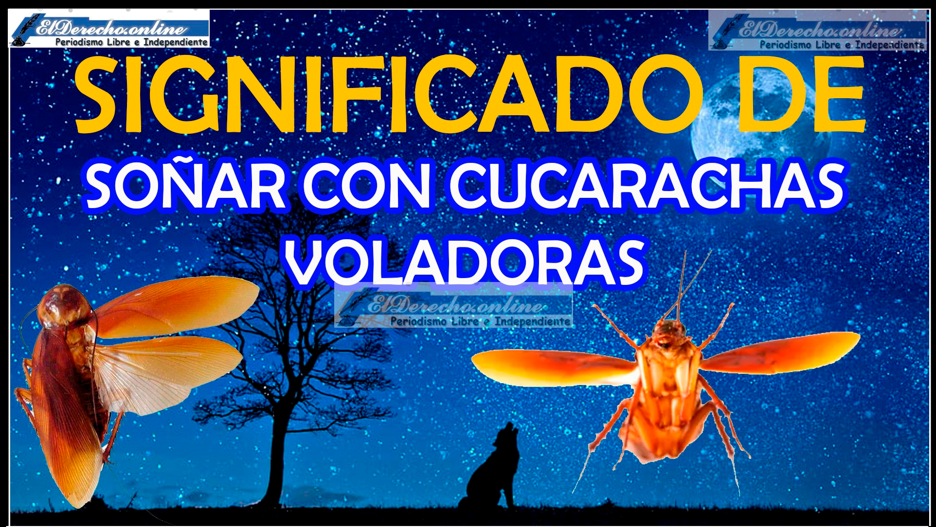Soñar con Cucarachas Voladoras ¿Qué significa este sueño?