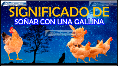 ¿Qué significa soñar con una gallina?