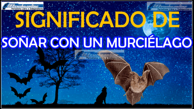 ¿Qué significa soñar con un murciélago?