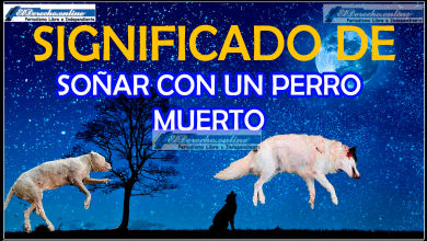 Soñar con un perro muerto ¿Qué significa?