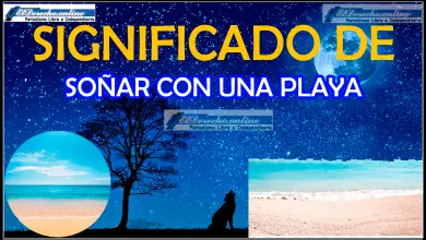 ¿Qué significa soñar con una playa?