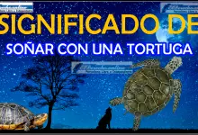 ¿Qué significa soñar con una tortuga?