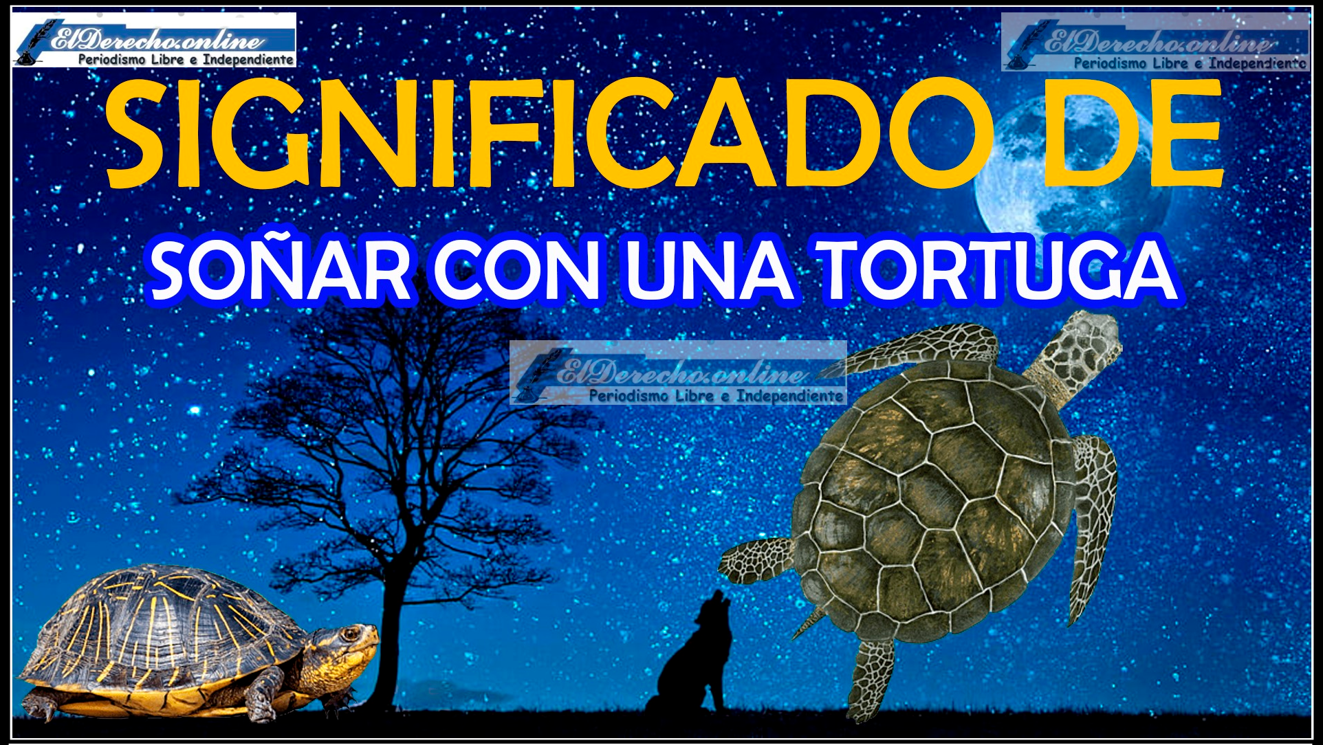 ¿Qué significa soñar con una tortuga?