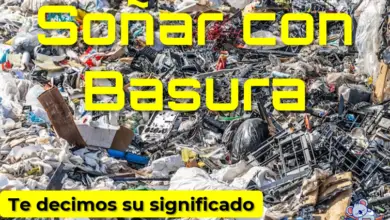 Soñar con la basura ¿qué significa?